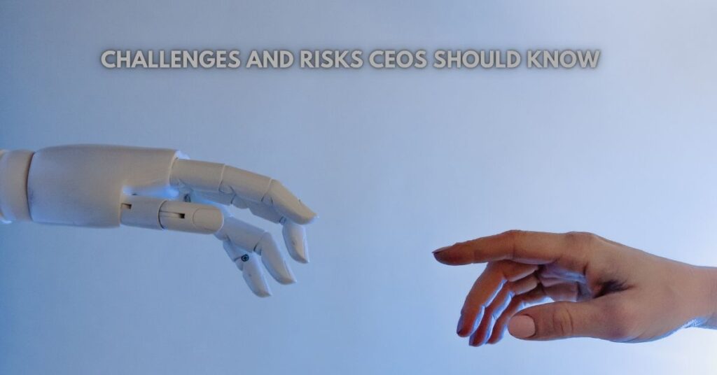 Challenges and Risks CEOs Should Know